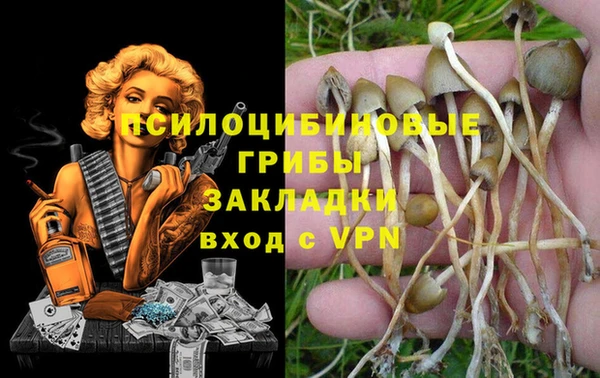 2c-b Абдулино
