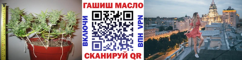 купить закладку  omg ONION  Дистиллят ТГК гашишное масло  Чкаловск 