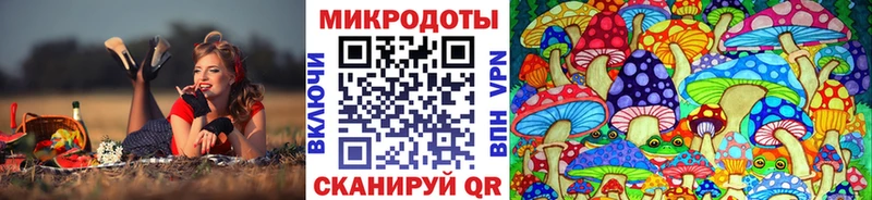 дарк нет как зайти  магазин  наркотиков  Чкаловск  Псилоцибиновые грибы прущие грибы 